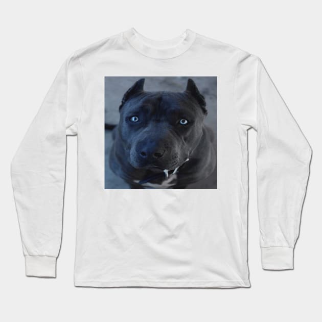 Pit bull Long Sleeve T-Shirt by SiciliaAlanovich